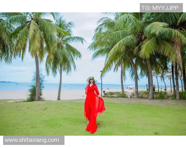 夏日清凉来袭 穿上泳装享受沙滩阳光与海风的完美邂逅