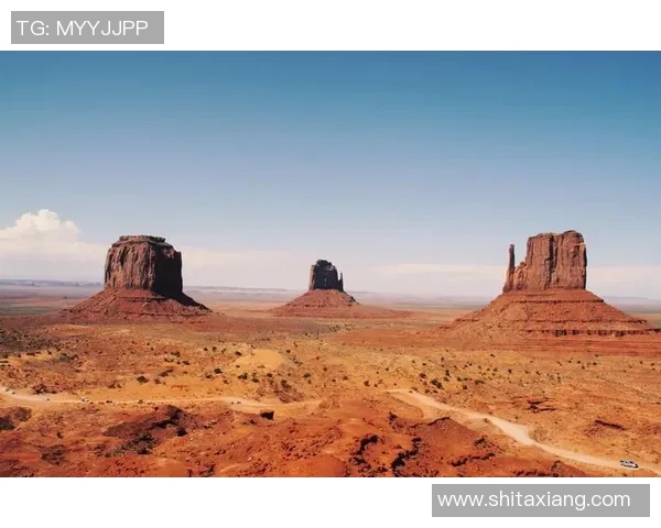 世界纪录保持者的传奇故事：超越极限的勇气与坚持