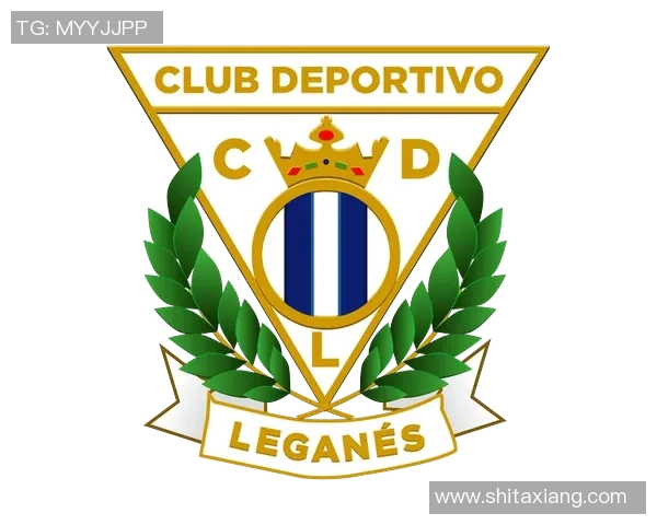 西班牙足球甲级联赛历史发展与当前竞争格局分析 西班牙足球甲级联赛历史发展与当前竞争格局分析